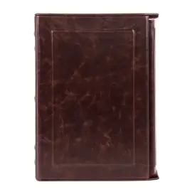 Книга в кожаном переплете "Киевские князья" Книга в кожаном переплете "Киевские князья"